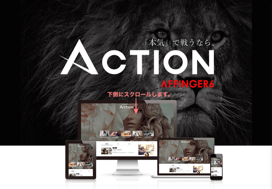 3563-1|STINGER STORE|AFFINGER6の公式販売ページ