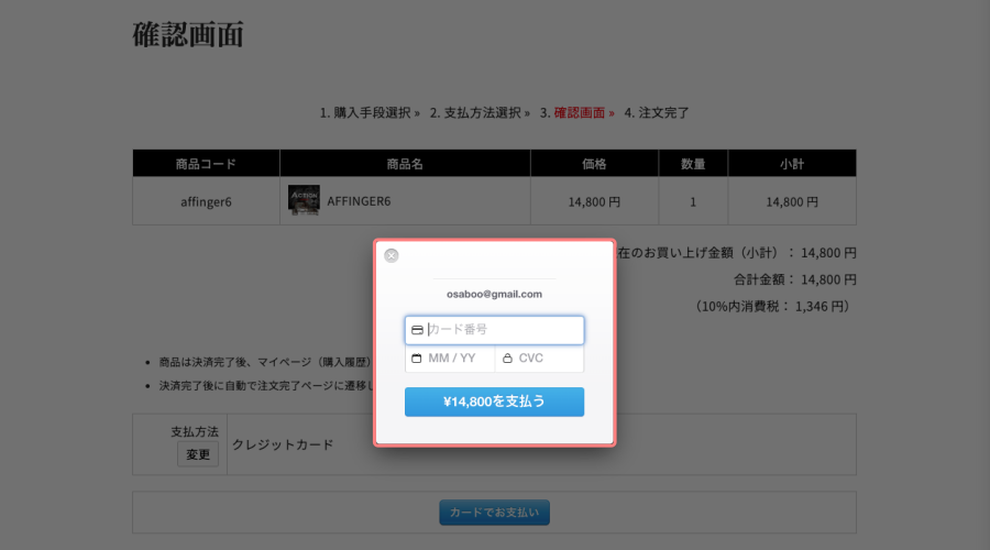 3563-10a|STINGER STORE|支払い方法選択