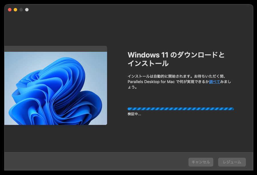 4905-19|Windows 11 のダウンロードとインストール
